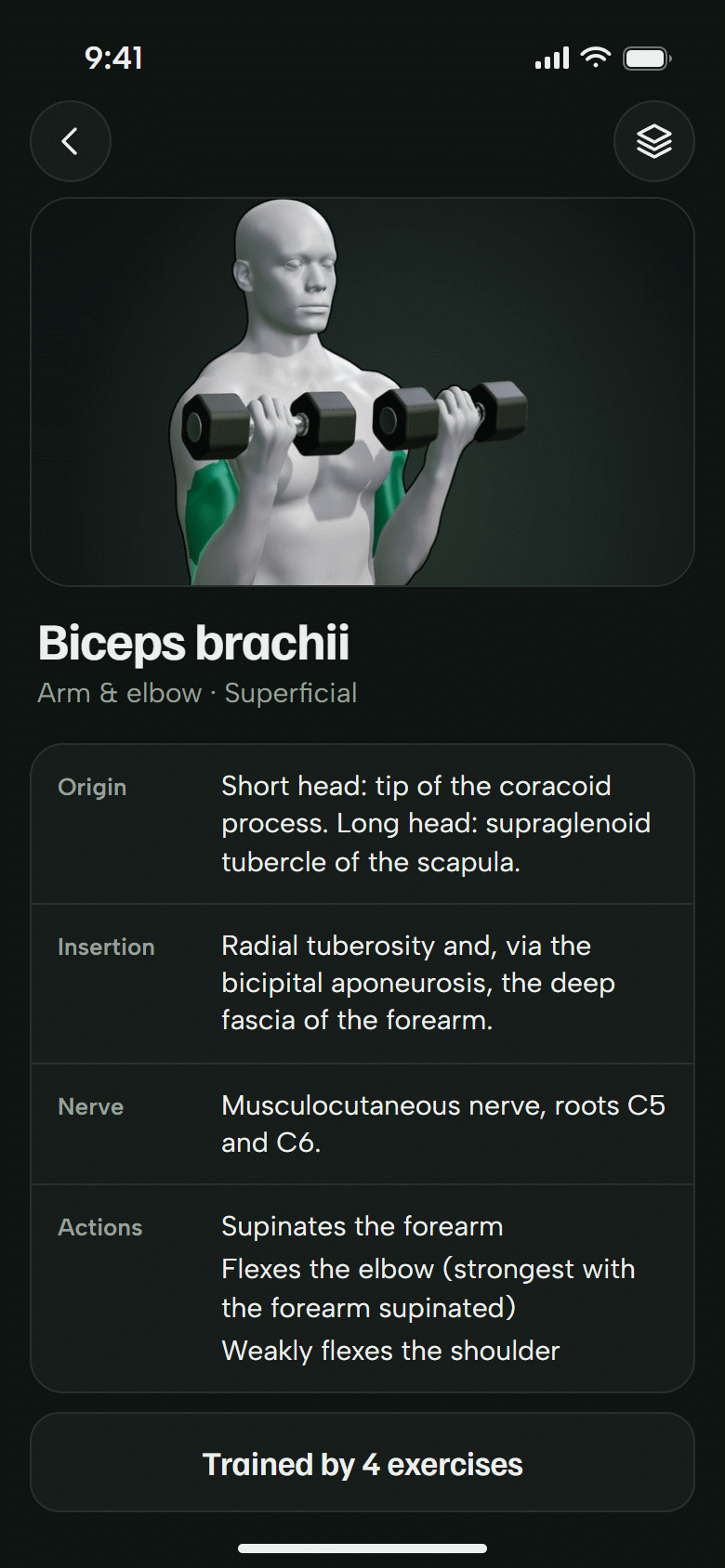 The muscle screen for the biceps brachii. The 3D athlete with the muscle painted, and its origin, insertion, nerve and actions. Dark theme.
